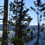 YELLOWSTONE-126