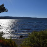YELLOWSTONE-128